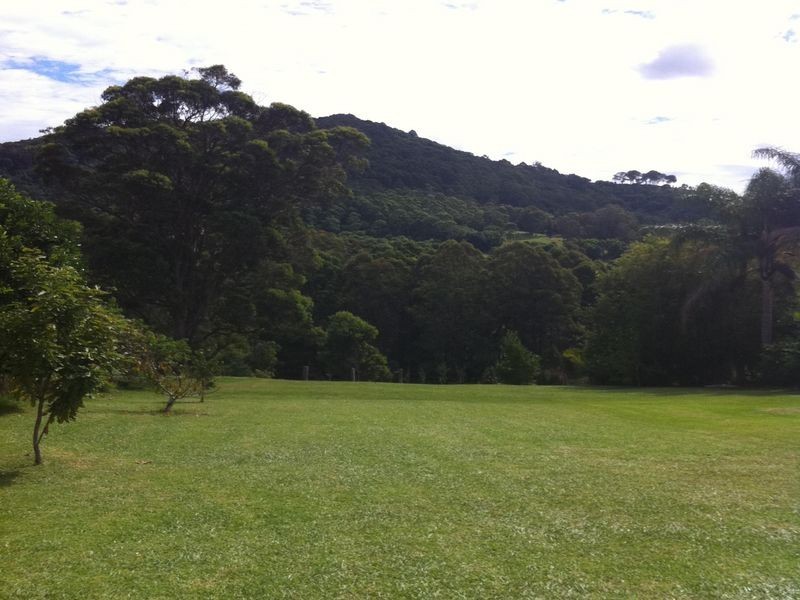 Krambach NSW 2429