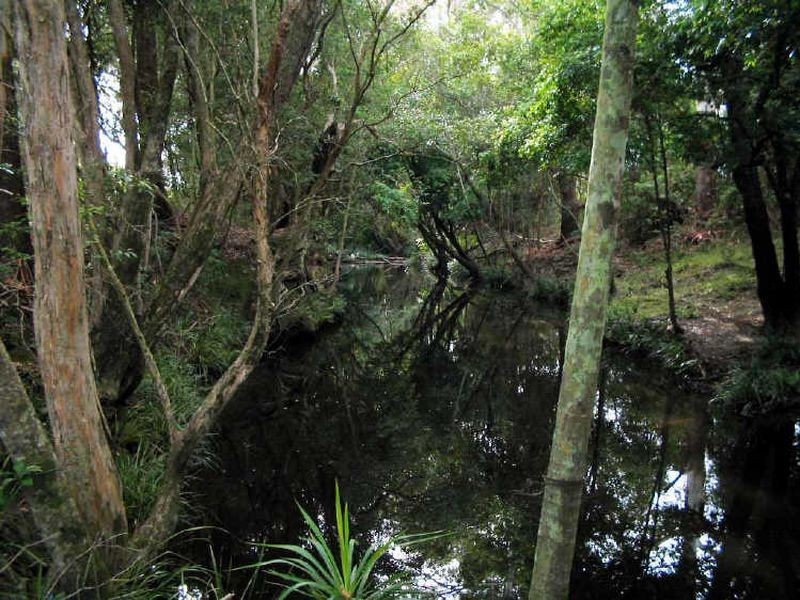 Johns River NSW 2443