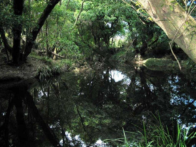 Johns River NSW 2443