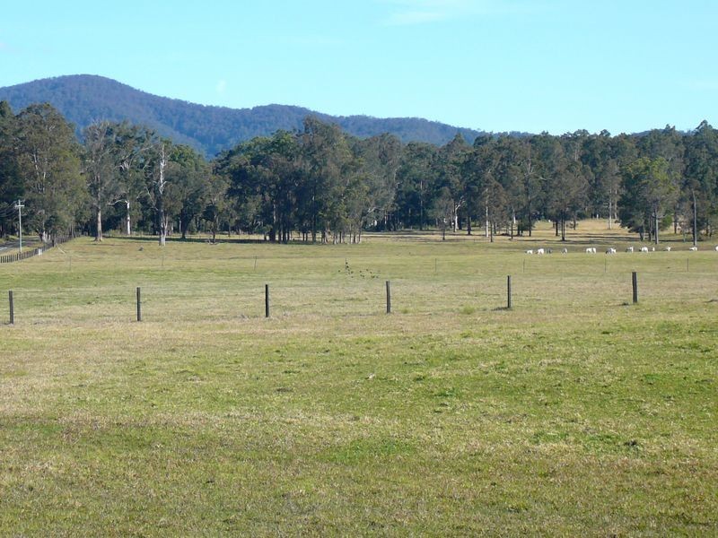 Burrell Creek NSW 2429