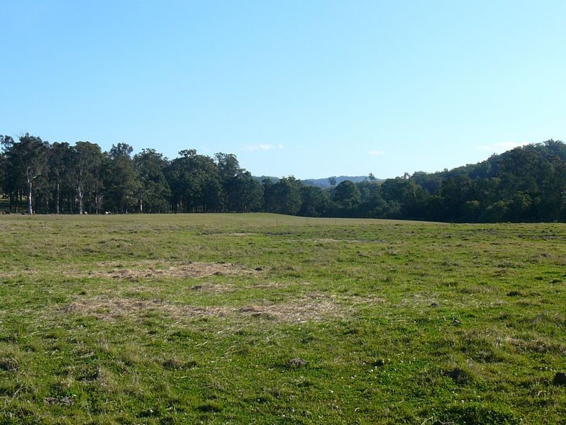 Burrell Creek NSW 2429