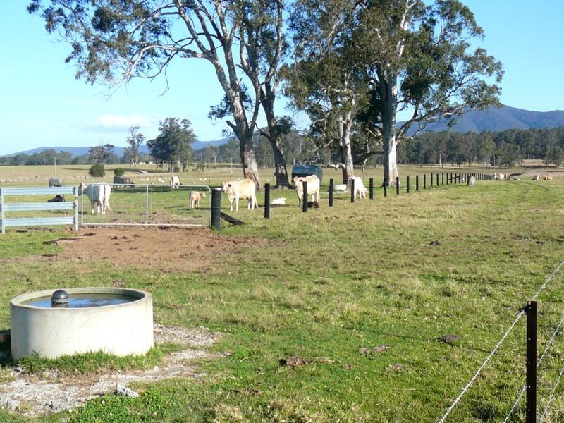 Burrell Creek NSW 2429