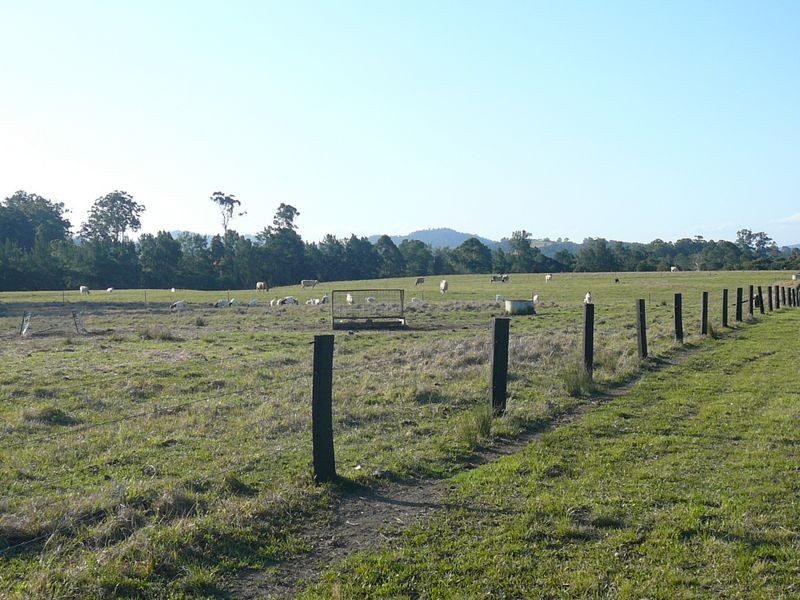 Burrell Creek NSW 2429