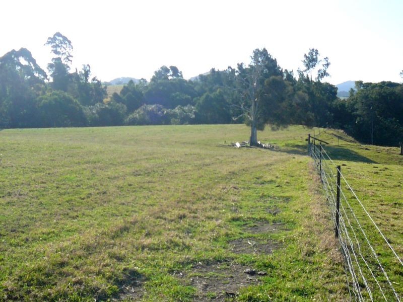 Burrell Creek NSW 2429