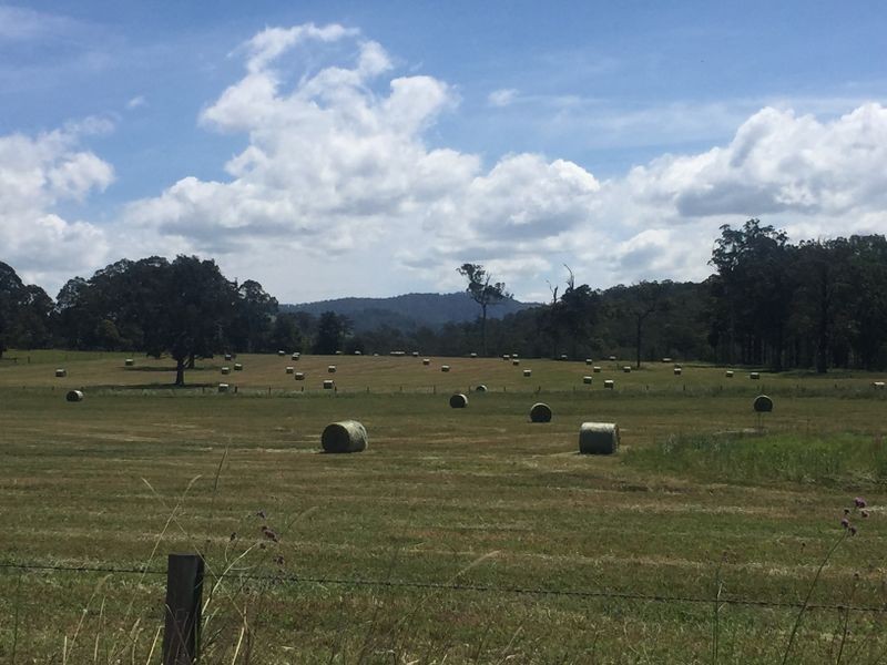 Burrell Creek NSW 2429