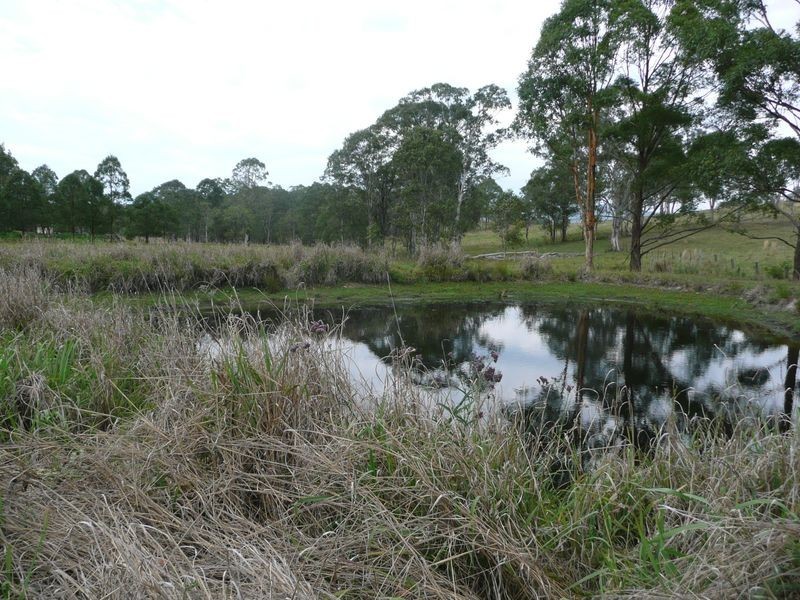 3 Helmich Close, Wingham NSW 2429