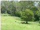Lansdowne NSW 2430
