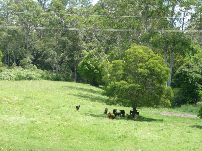 Lansdowne NSW 2430