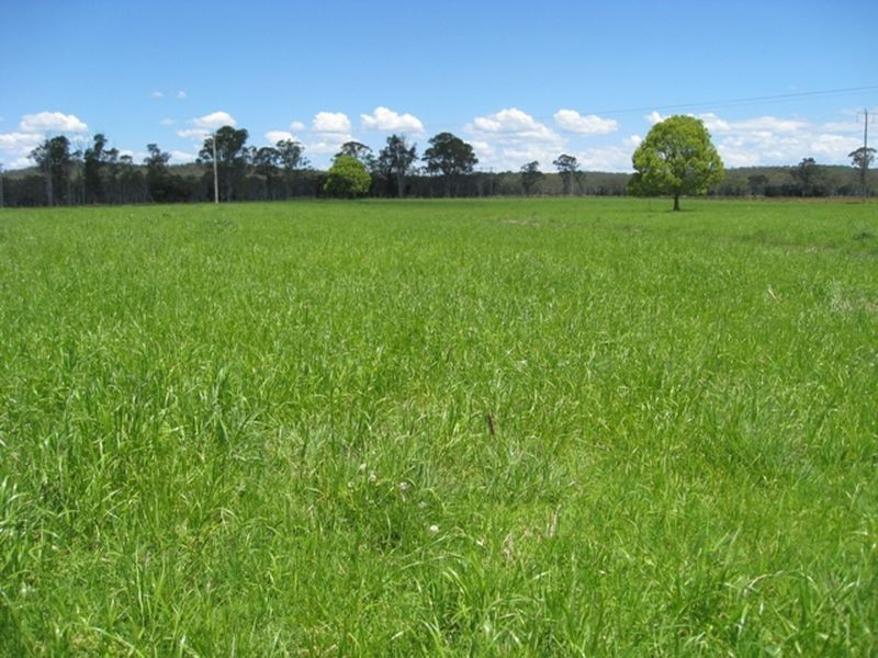 Lansdowne NSW 2430