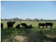 Lansdowne NSW 2430