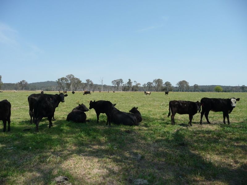 Lansdowne NSW 2430