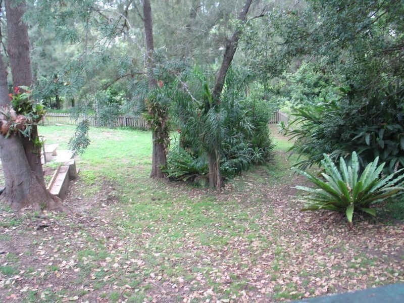 19 Primrose Street, Wingham NSW 2429