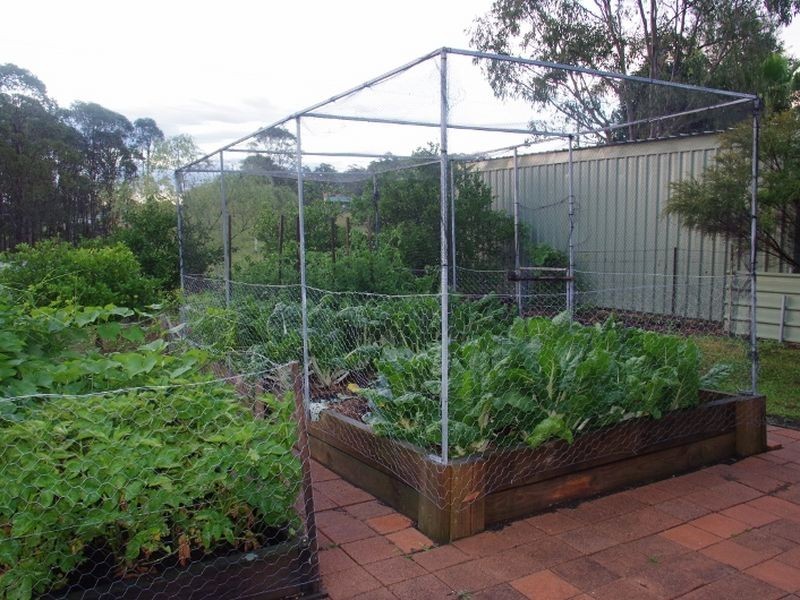 1 Apanie Close, Wingham NSW 2429