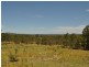 Wingham NSW 2429