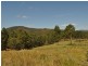 Wingham NSW 2429