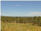 Wingham NSW 2429