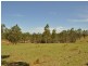 Wingham NSW 2429