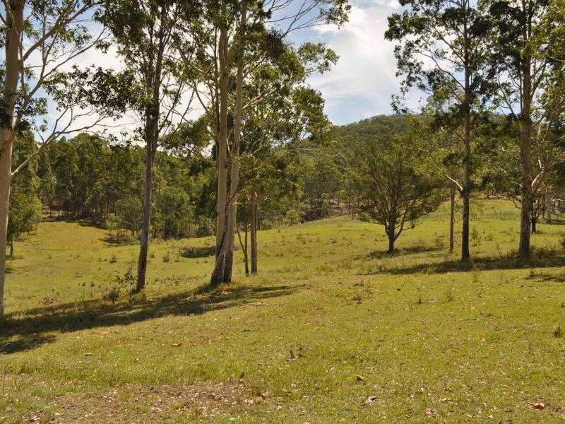Wingham NSW 2429