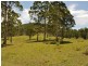 Wingham NSW 2429