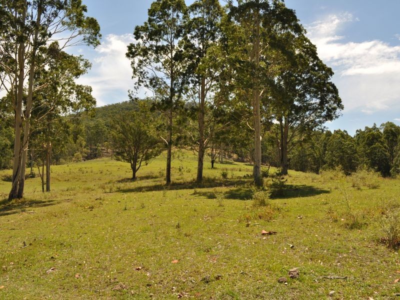 Wingham NSW 2429