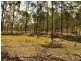 Wingham NSW 2429