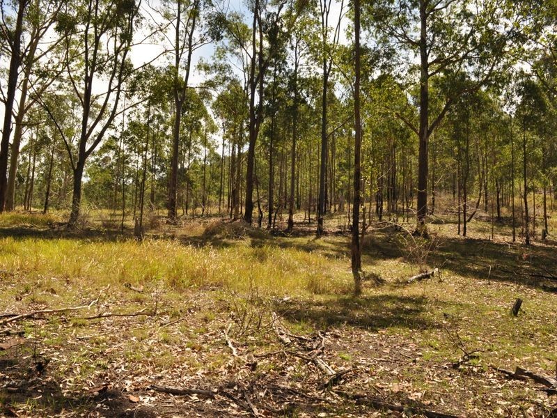 Wingham NSW 2429