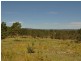 Wingham NSW 2429