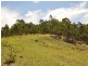 Wingham NSW 2429