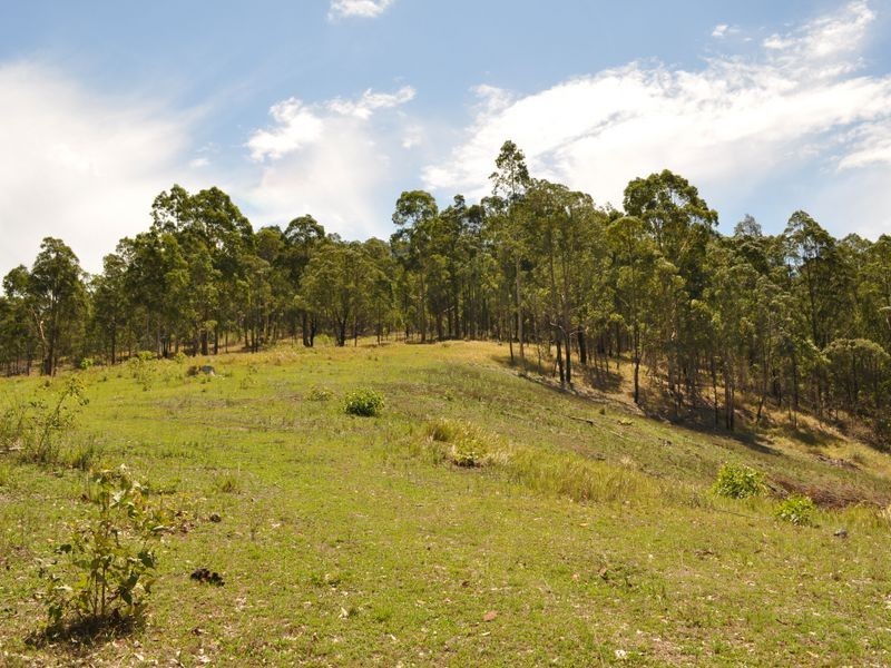 Wingham NSW 2429