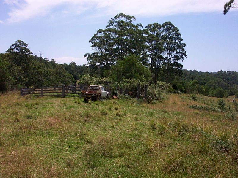 Elands NSW 2429