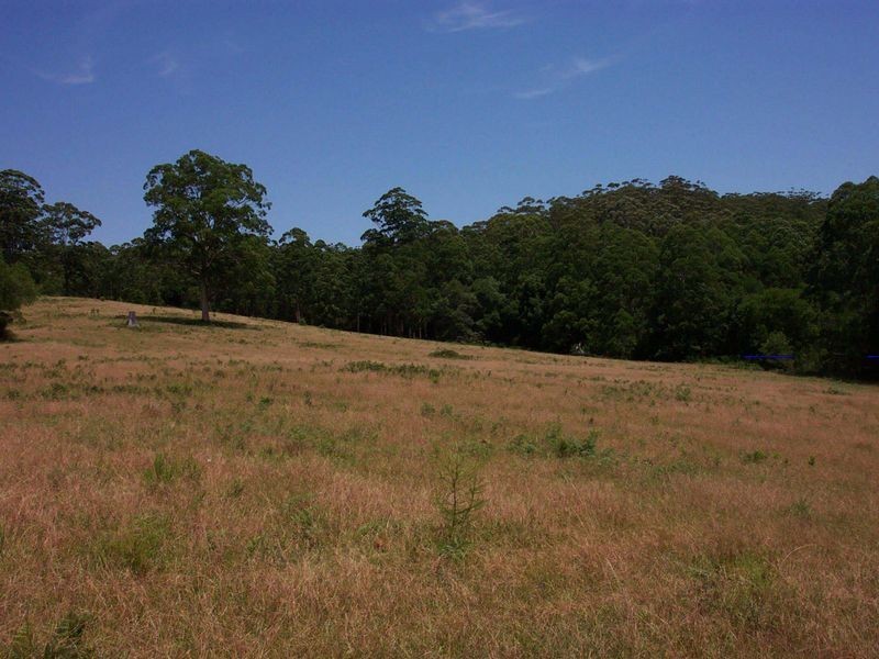 Elands NSW 2429