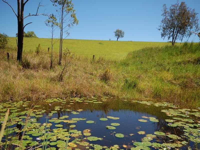 Upper Lansdowne NSW 2430