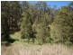 Upper Lansdowne NSW 2430