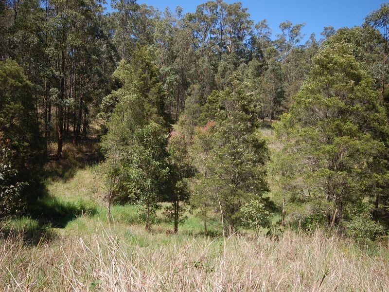 Upper Lansdowne NSW 2430