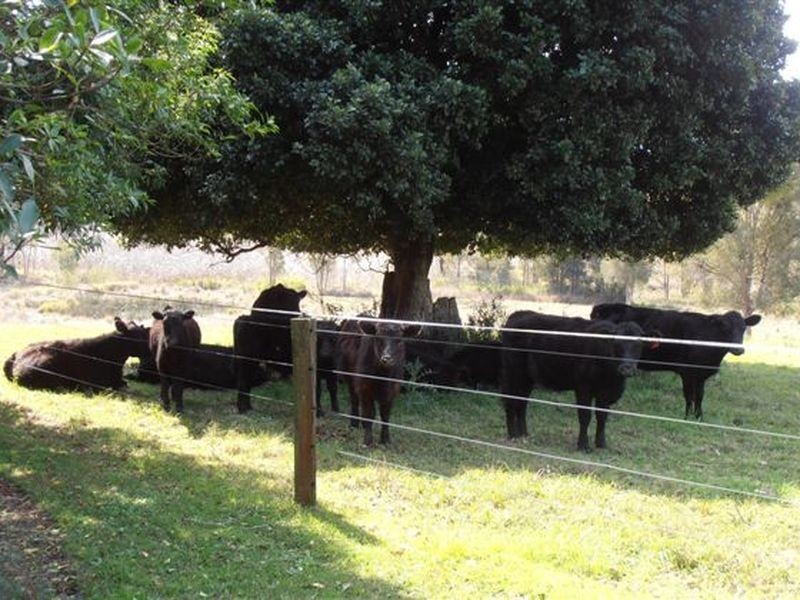 Hannam Vale NSW 2443