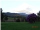 Hannam Vale NSW 2443