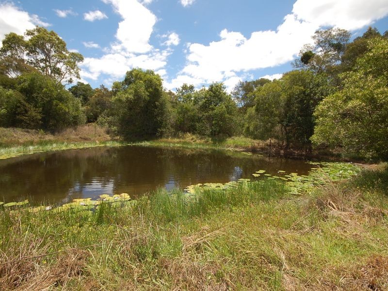 Burrell Creek NSW 2429