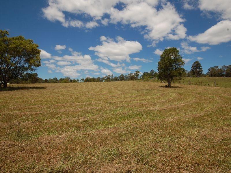 Burrell Creek NSW 2429