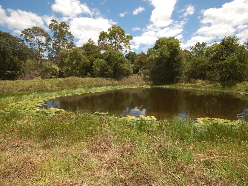 Burrell Creek NSW 2429