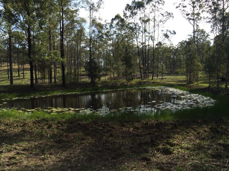 Strathcedar NSW 2429