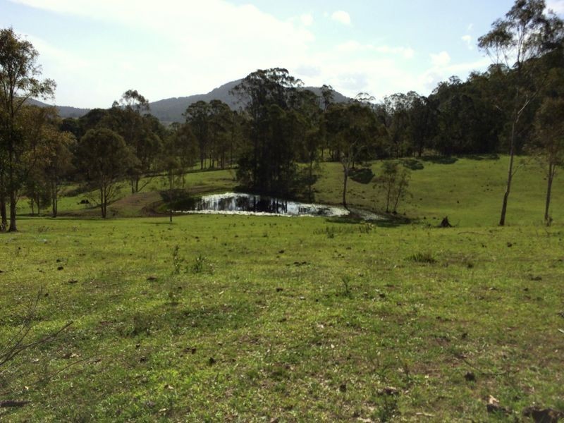 Strathcedar NSW 2429