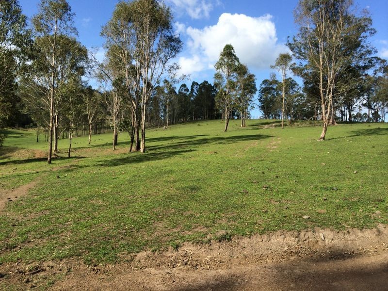 Strathcedar NSW 2429