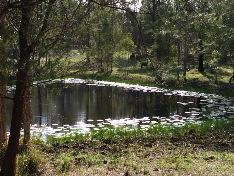 Strathcedar NSW 2429