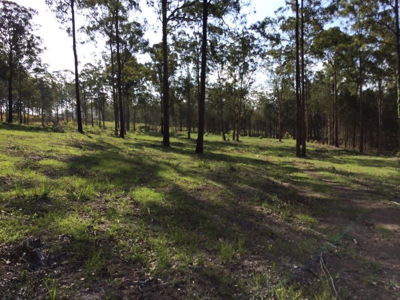 Strathcedar NSW 2429