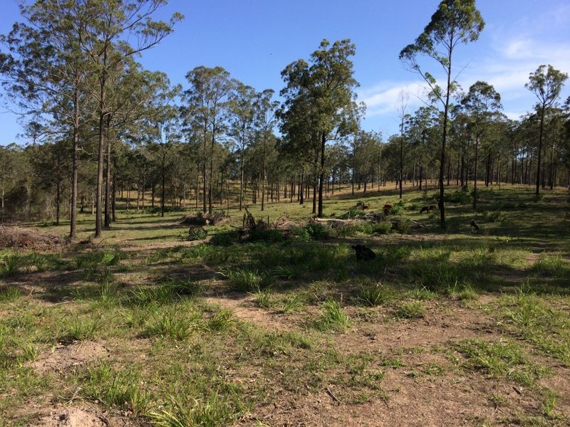 Strathcedar NSW 2429