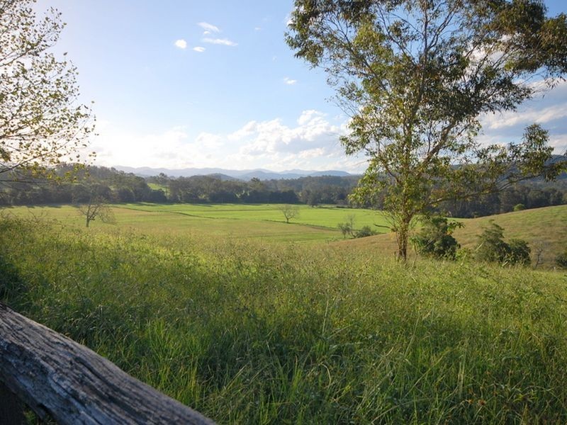 203 Marchfield Road, Wingham NSW 2429