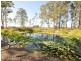 Wingham NSW 2429