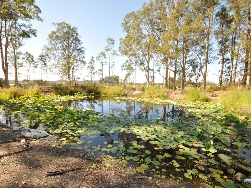 Wingham NSW 2429