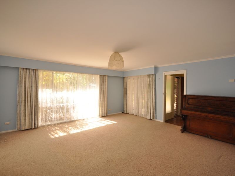 Wingham NSW 2429