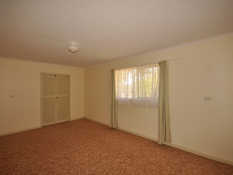 Wingham NSW 2429